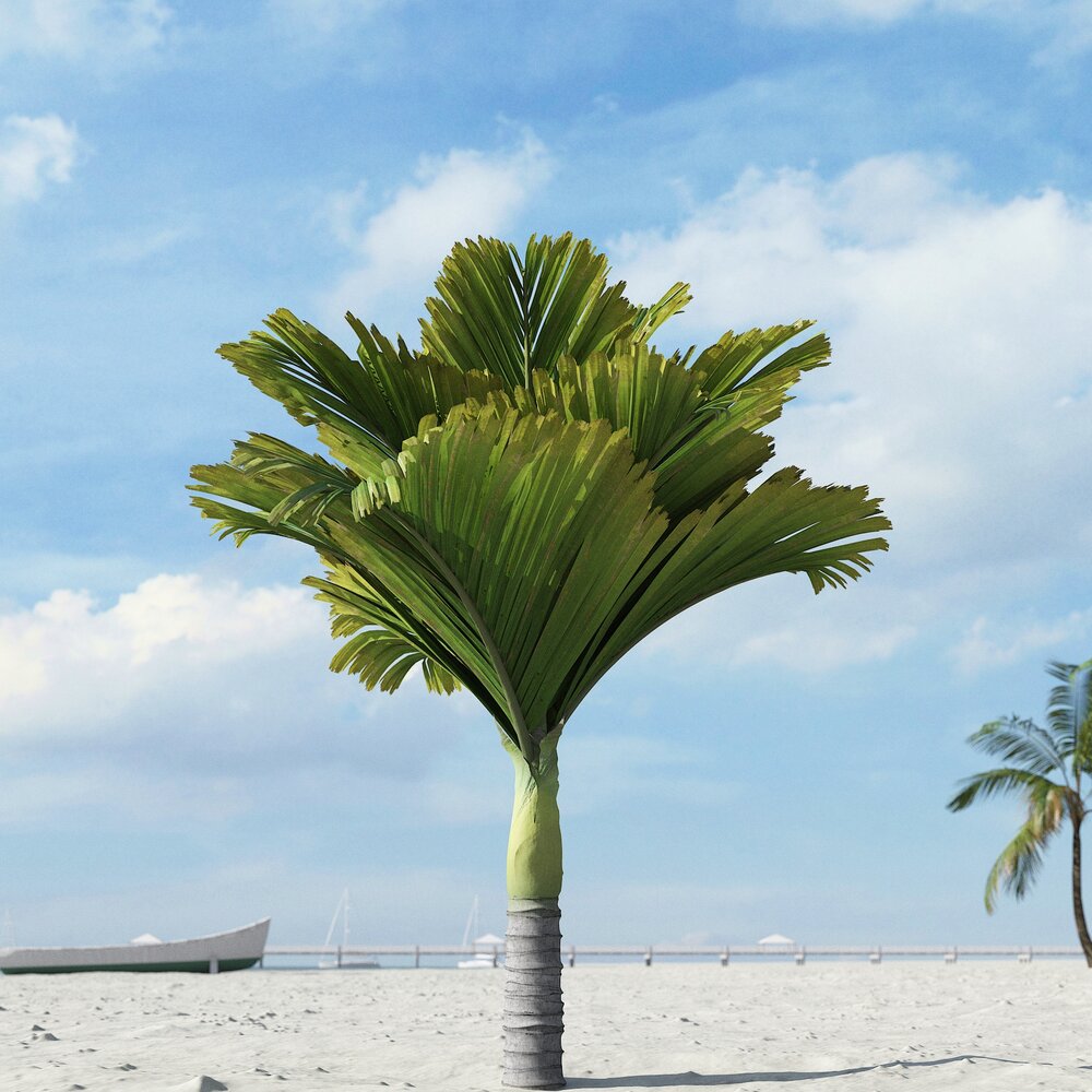Tropical Small Palm 3d model