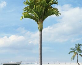 Tropical Palm Tree 03 3D model