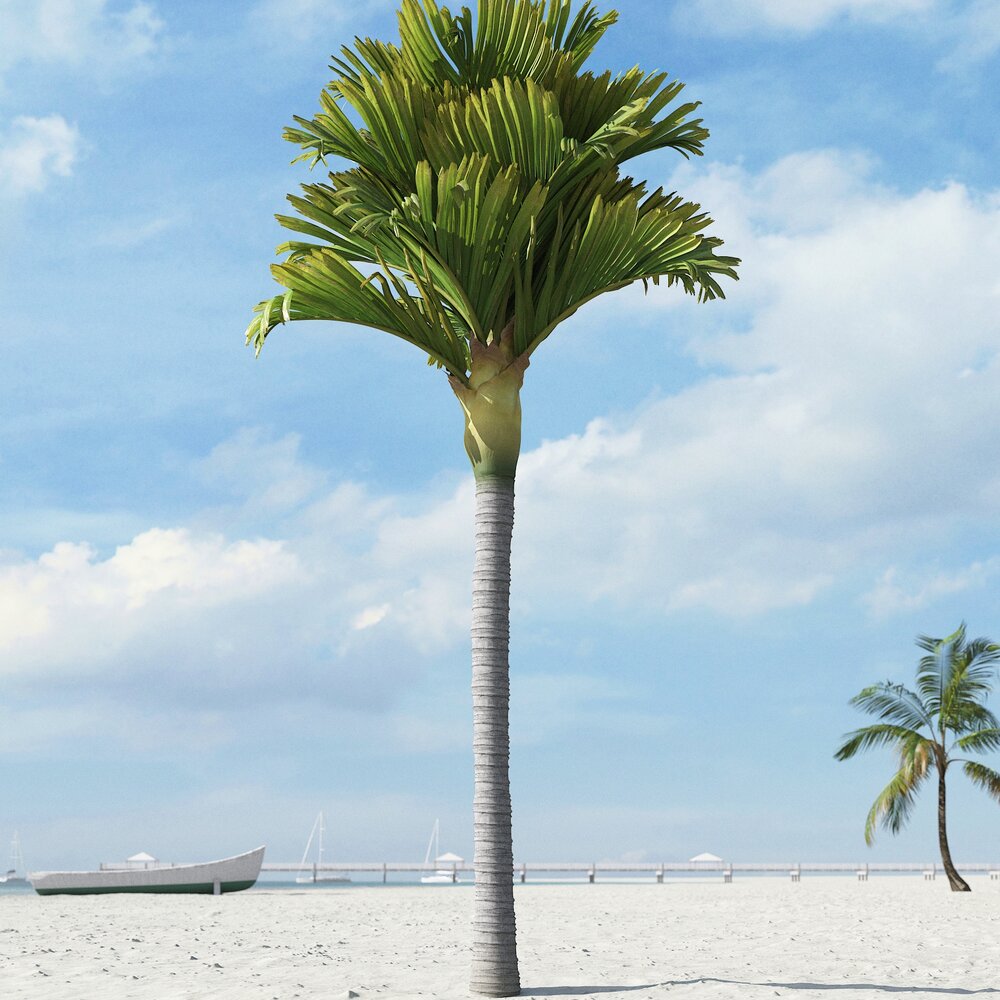 Tropical Palm Tree 03 3D-Modell