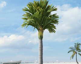 Tropical Palm Tree 09 3D model
