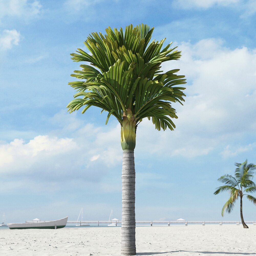 Tropical Palm Tree 09 3D-Modell
