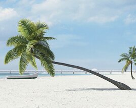 Bent Palm for a Beach Scene Modello 3D