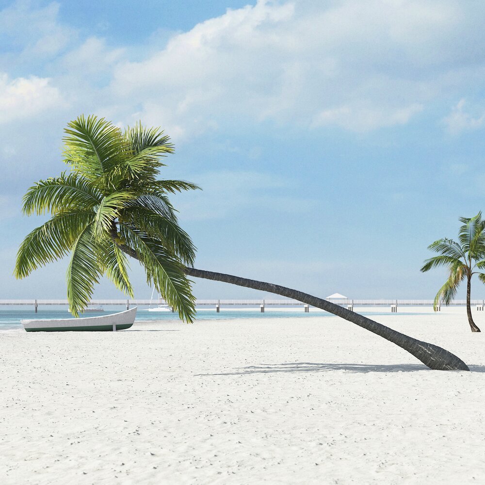 Bent Palm for a Beach Scene Modelo 3D