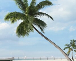 Tropical Palm Tree 08 3D-Modell