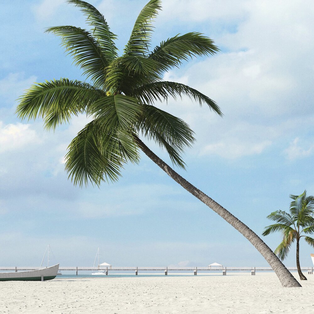 Tropical Palm Tree 08 3D модель