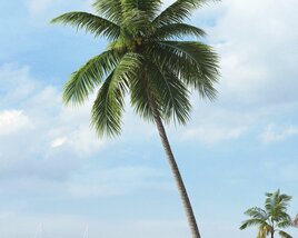 Tropical Palm Tree 07 3D-Modell