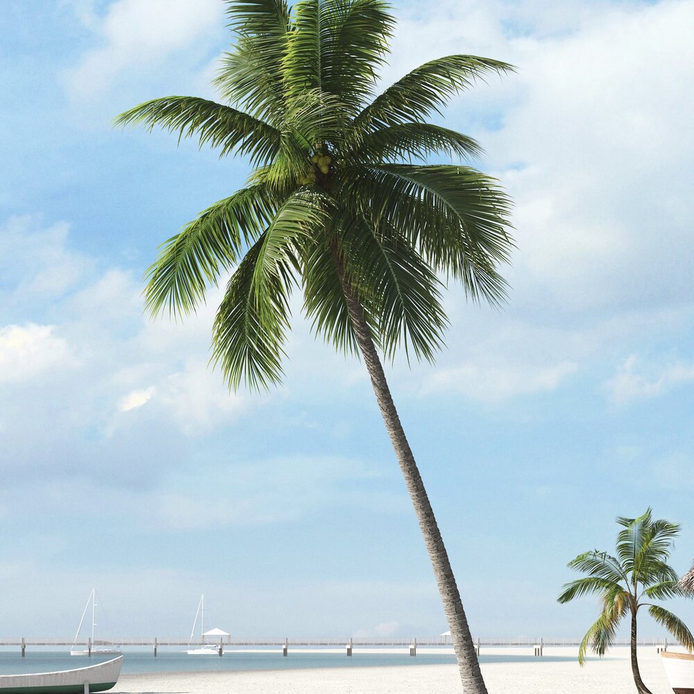 Tropical Palm Tree 07 3D модель