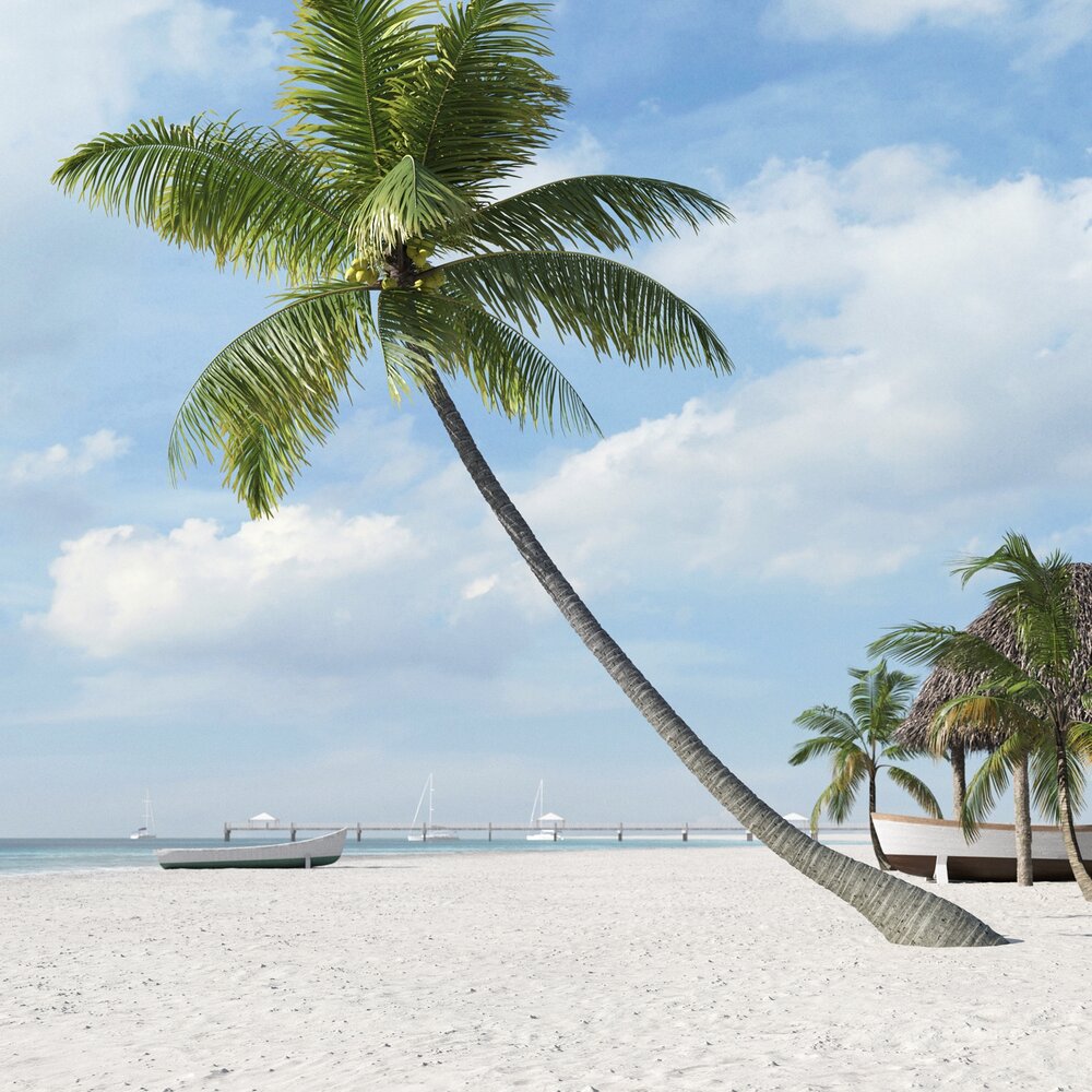 Tropical Palm Tree 06 3D модель