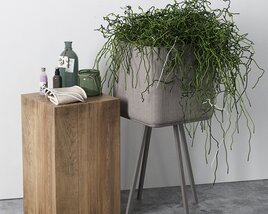Modern Planter with Cascading Greenery 3D модель