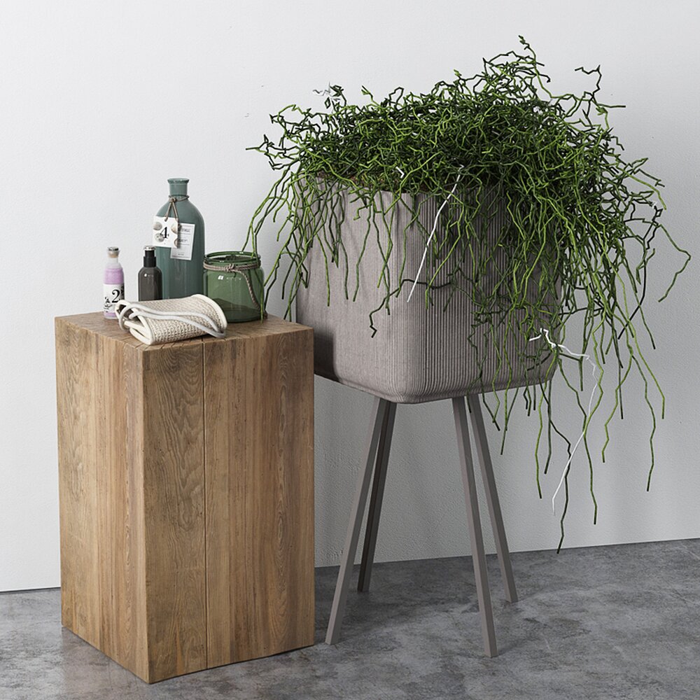 Modern Planter with Cascading Greenery 3D модель