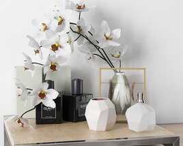 Decor with Orchids and Perfume Bottles 3D model