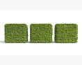 Green Hedge Cubes Modello 3D