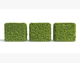 Green Hedge Cubes Modèle 3D