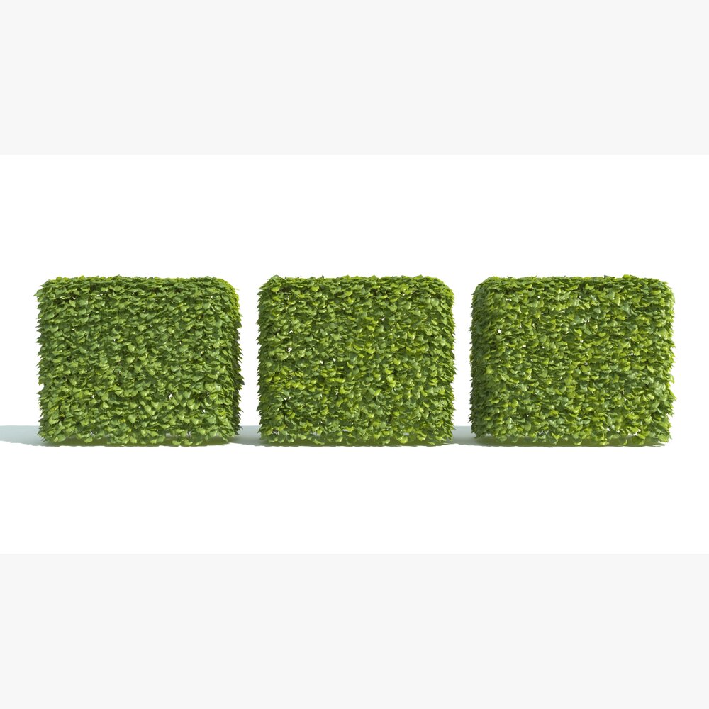 Green Hedge Cubes Modelo 3D