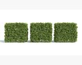 Green Hedge Blocks Modello 3D