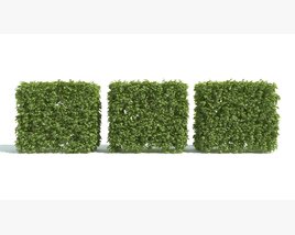 Green Hedge Blocks Modello 3D