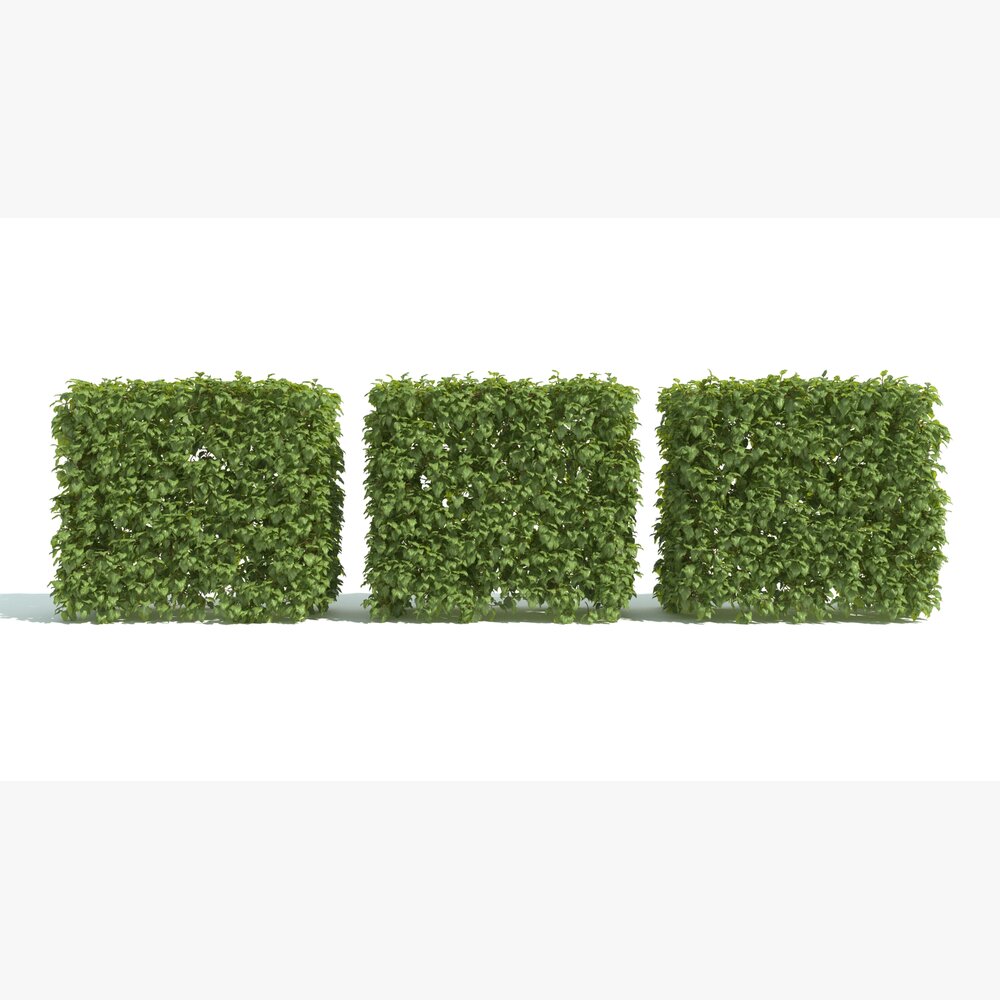 Green Hedge Blocks 3D模型