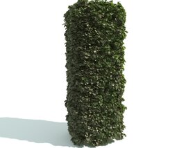 Green Hedge Column Modello 3D