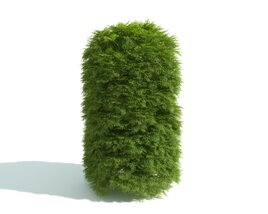 Green Shrub Cylinder 3D model