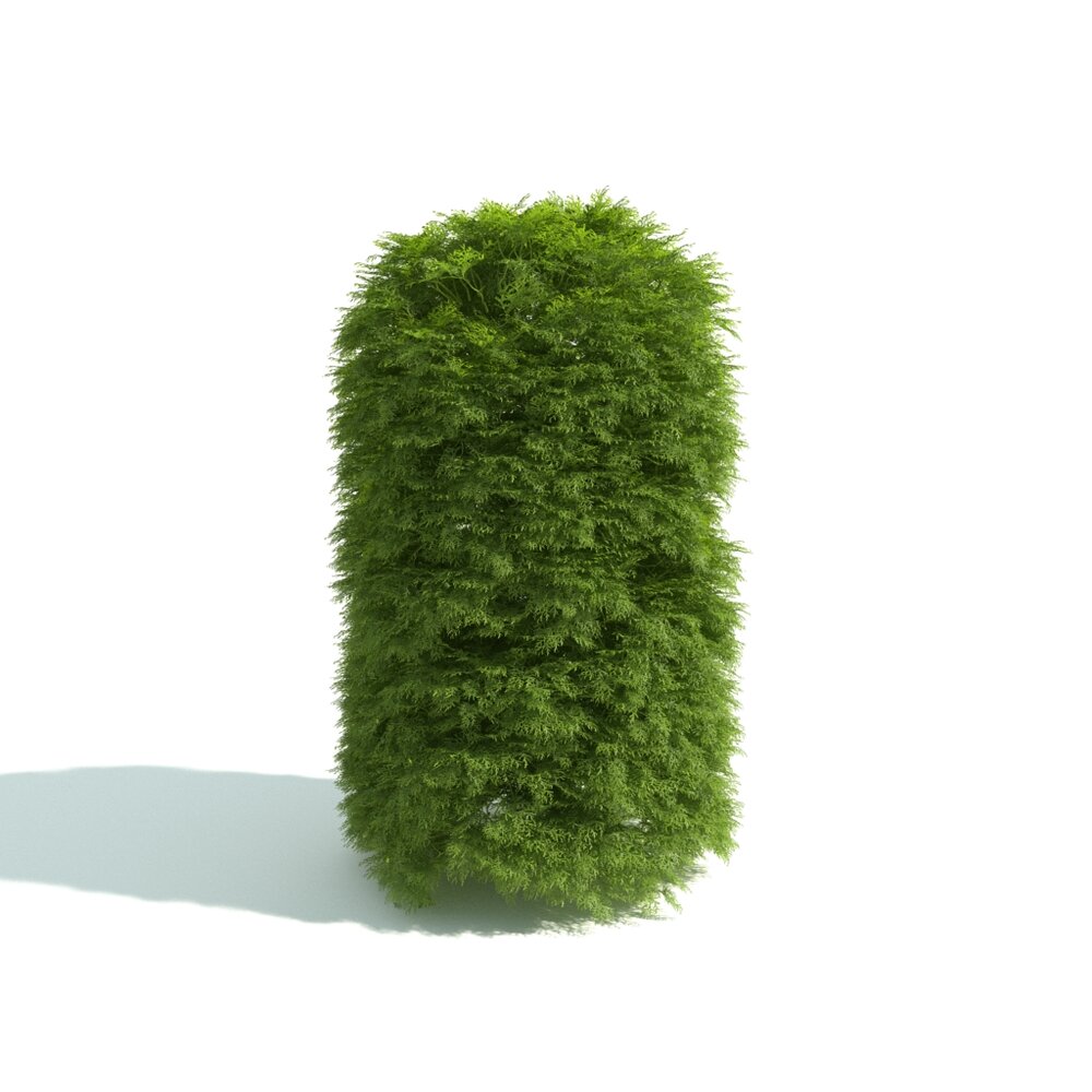 Green Shrub Cylinder 3D 모델 
