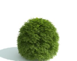 Green Shrub Sphere 02 3D model