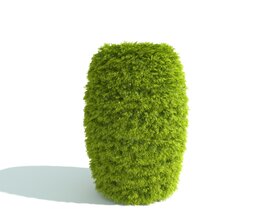 Green Shrub Vase 3D 모델 