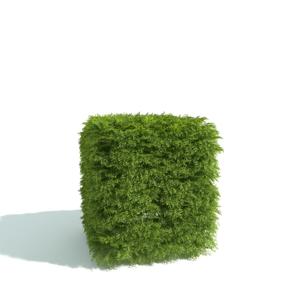 Green Shrub Cube Modello 3D