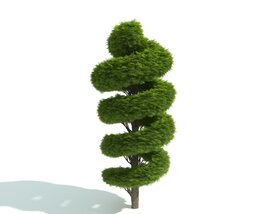 Spiral Topiary Tree Modèle 3D