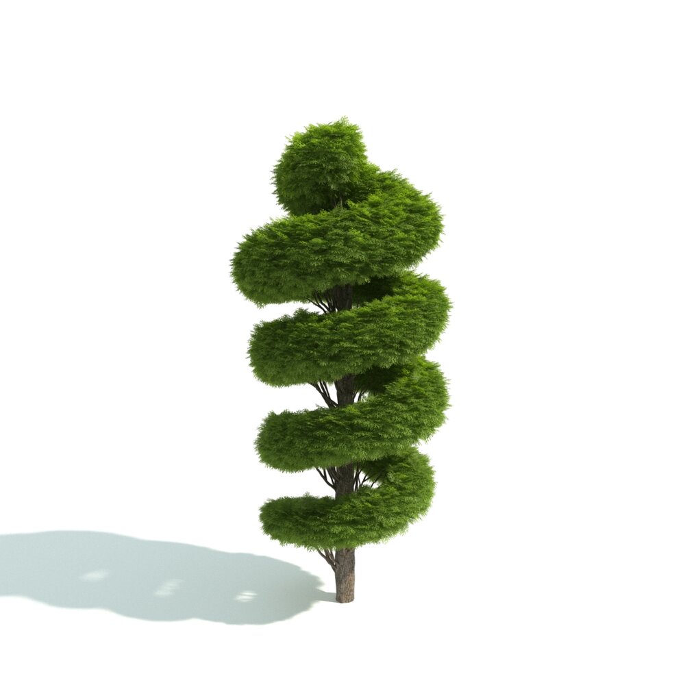 Spiral Topiary Tree 3d model