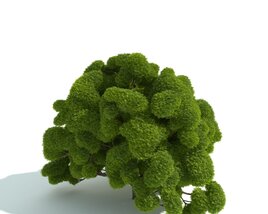Vibrant Green Plant Hedge 3D model