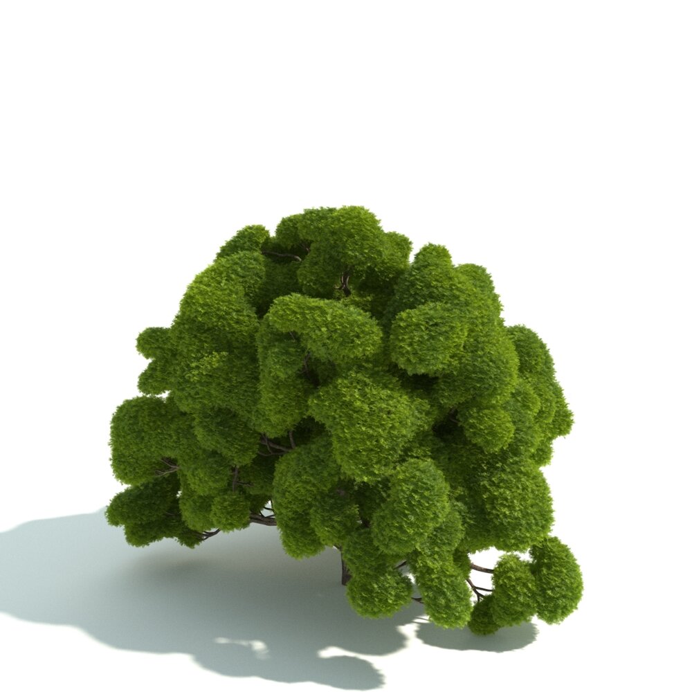 Vibrant Green Plant Hedge Modello 3D