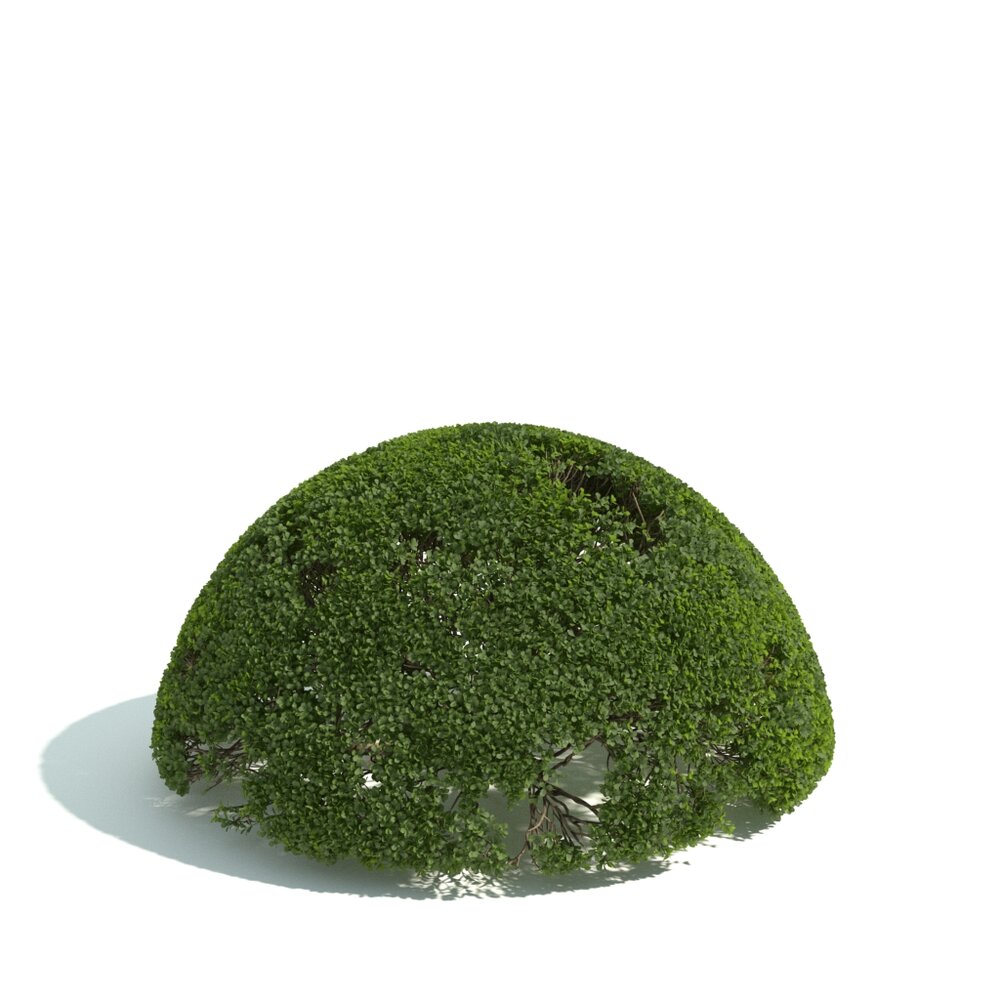 Trimmed Shrubbery Dome 3D-Modell