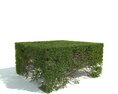 Trimmed Green Hedge 3D模型