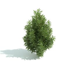 Green Plant for Hedge 3D модель