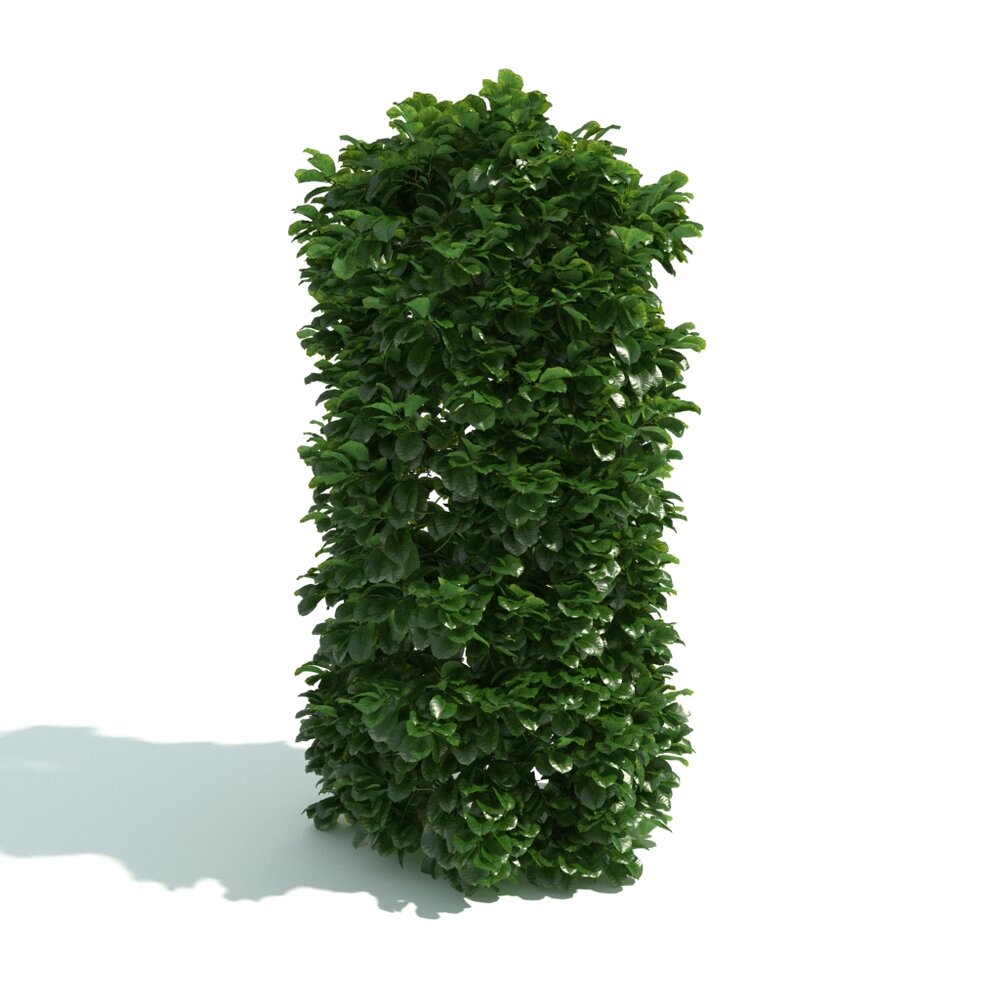 Green Hedge Pillar 3D-Modell
