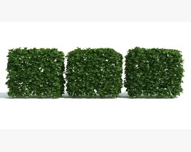 Green Hedge Sections Modèle 3D