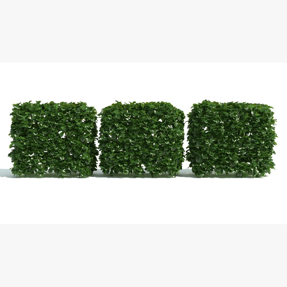 Green Hedge Sections Modèle 3d