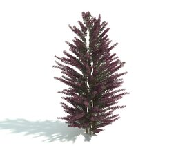 Tree with Reddish Leaves 3D модель