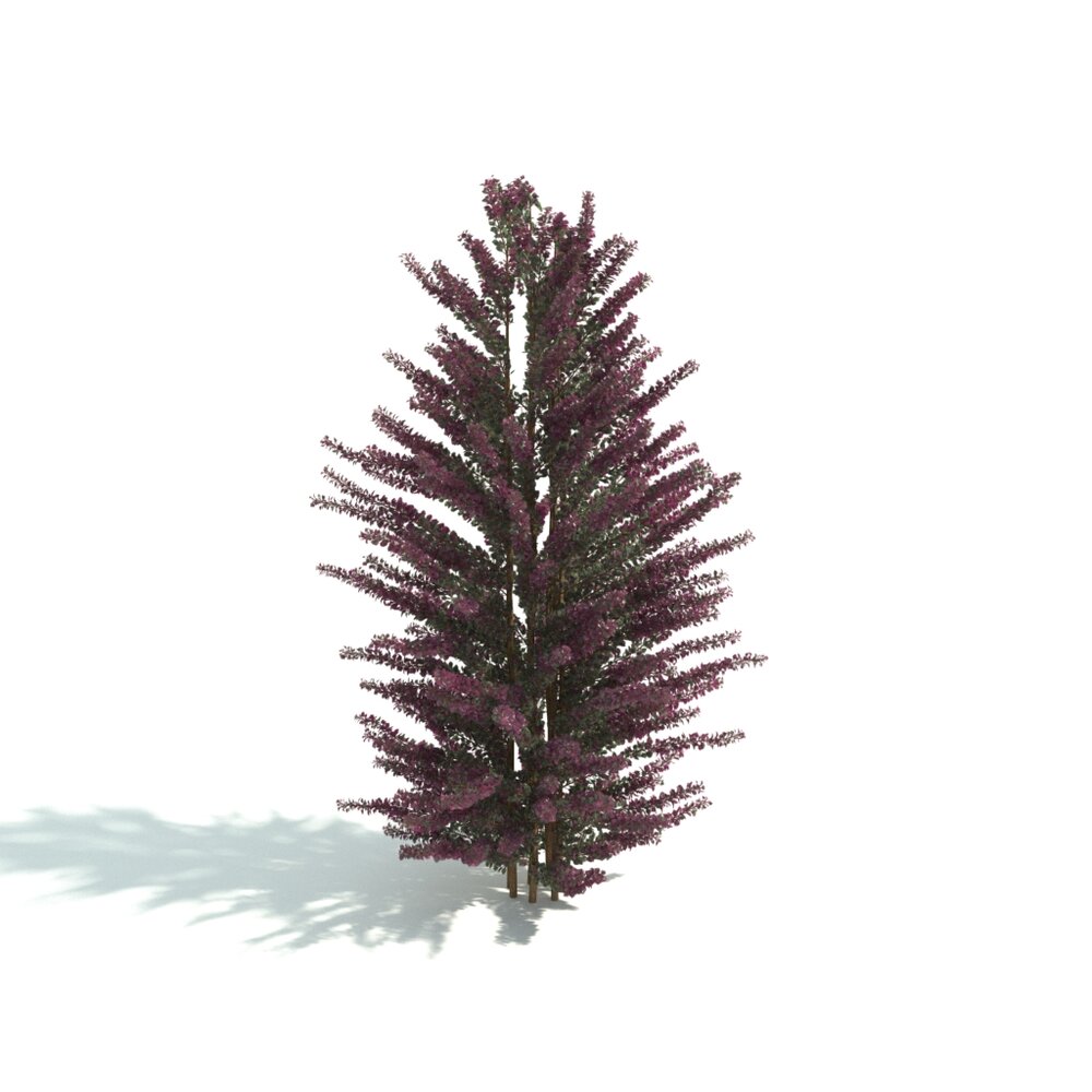 Tree with Reddish Leaves 3D 모델 