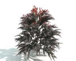 Verdant Tree with Reddish Leaves 3D 모델 