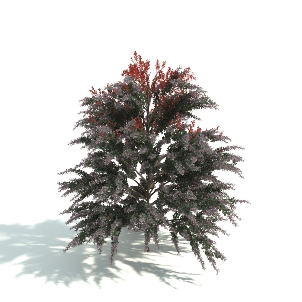 Verdant Tree with Reddish Leaves Modelo 3d