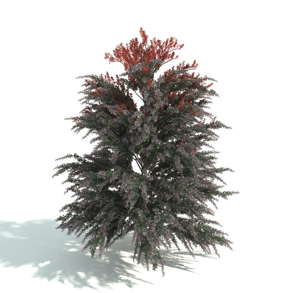 Verdant Shrub with Red Tips 3D model
