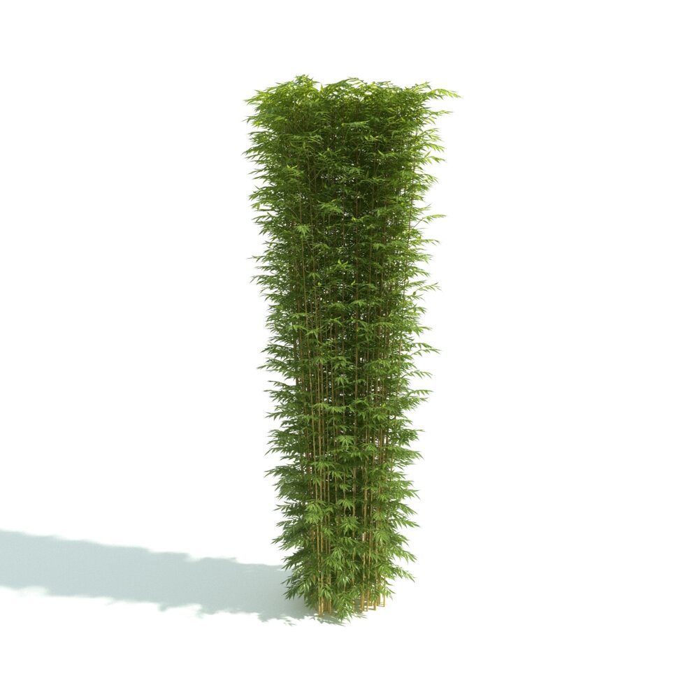 Vertical Green Hedge 3D 모델 