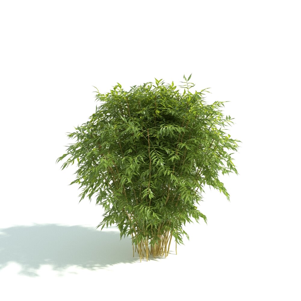 Verdant Hedge Bush Modello 3D