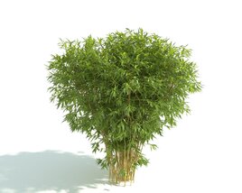 Lush Bamboo Plant Hedge 3D 모델 