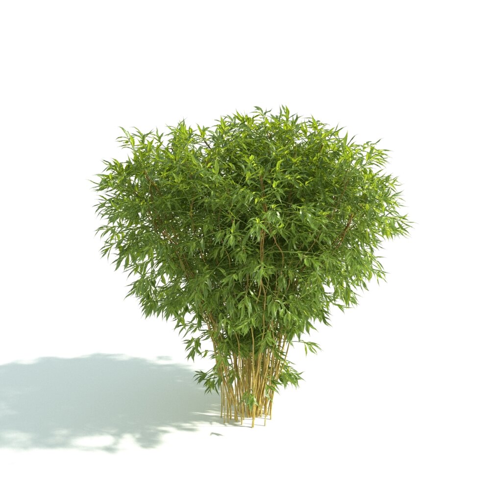 Lush Bamboo Plant Hedge 3d model