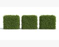 Trimmed Hedge Sections 3D 모델 