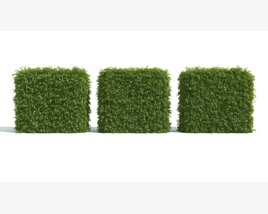 Trimmed Hedge Sections Modelo 3D