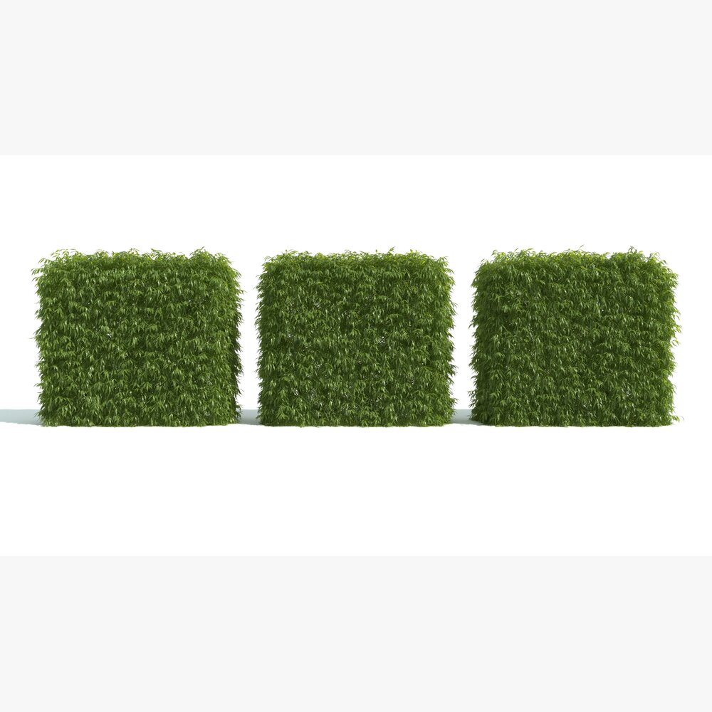 Trimmed Hedge Sections 3D model