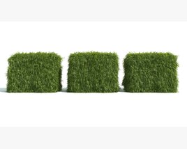 Grassy Cubes Bush Hedge 3D模型